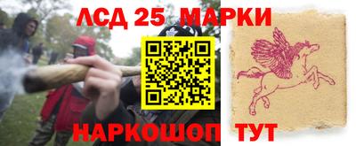 индика Будённовск